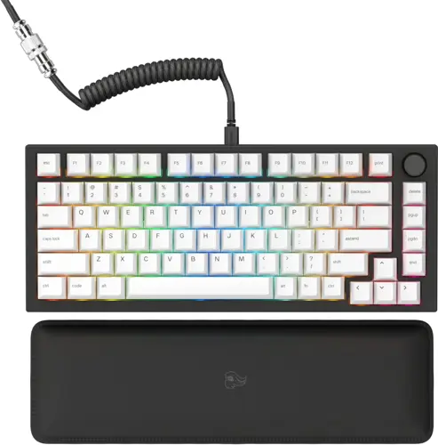 61r2QjJ-6iL._AC_SL1500_.jpg